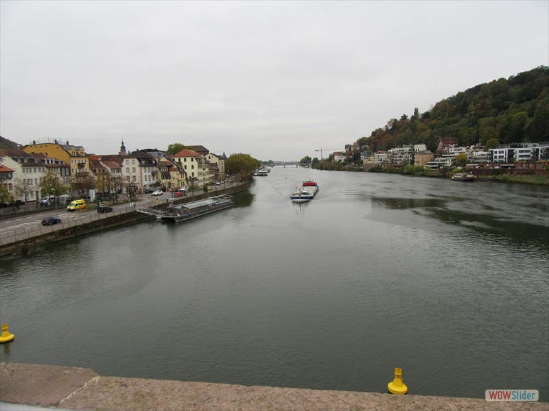 13 River Neckar